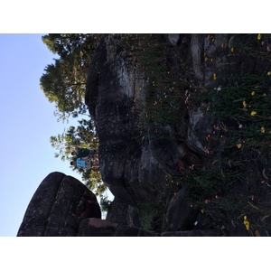 รูปถ่าย ไทย(Thailand) อุทยานแห่งชาติภูหินร่องกล้า(Phu Hin Rong Kla National Park) 2014-12 173