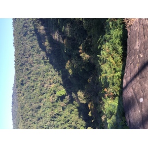 รูปถ่าย ไทย(Thailand) อุทยานแห่งชาติภูหินร่องกล้า(Phu Hin Rong Kla National Park) 2014-12 194