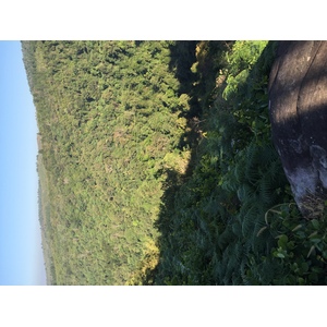 รูปถ่าย ไทย(Thailand) อุทยานแห่งชาติภูหินร่องกล้า(Phu Hin Rong Kla National Park) 2014-12 180