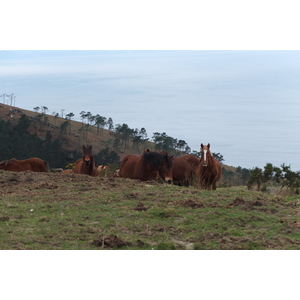 รูปถ่าย ฝรั่งเศส(France) แคว้นบาสก์(Basque Country) 2013-01 103