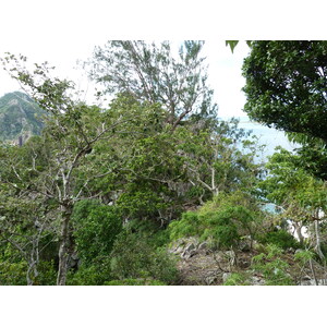 รูปถ่าย ฟิจิ(Fiji) เกาะแคสต์อะเวย์(Castaway Island) 2010-05 49