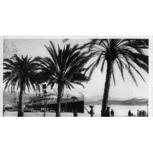 รูปถ่าย ฝรั่งเศส(France) คอร์สิคา(Corsica) โปสการ์ดเก่า(Old Postcards) 1900-01 286
