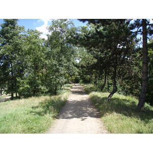รูปถ่าย ฝรั่งเศส(France) โคลอมบ์(Colombes) เกาะมาร็องต์(L'ile Marrante) 2007-07 0