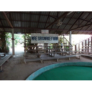 รูปถ่าย ไทย(Thailand) เชียงใหม่(Chiang Mai) ฟาร์มงูแม่สา(Mae Sa Snake Farm) 2010-12 10