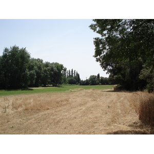 รูปถ่าย ฝรั่งเศส(France) โซเมียร์(Sommieres) 2006-06 111