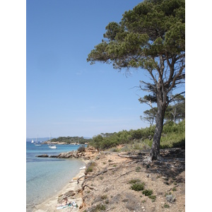 รูปถ่าย ฝรั่งเศส(France) เกาะปอร์เกอรอล(Porquerolles Island) 2006-06 37