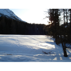 รูปถ่าย สวิสเซอร์แลนด์(Switzerland) เซนต์มอริตซ์ ชลาริญญา(St Moritz Schlarigna) 2007-01 0