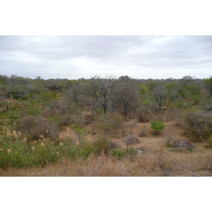 รูปถ่าย แอฟริกาใต้(South Africa) อุทยานแห่งชาติครูเกอร์(Kruger National Park) แม่น้ำซาเบิล(Sable River) 2008-09 42