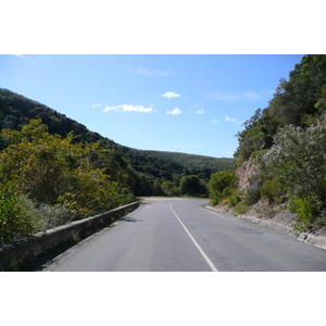 รูปถ่าย แอฟริกาใต้(South Africa) หุบเขาเนเจอร์ส(Nature's Valley) 2008-09 42