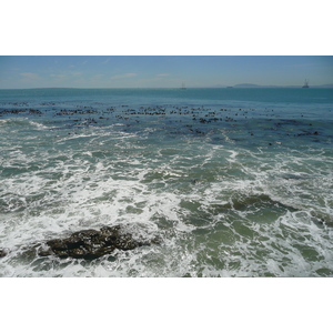 รูปถ่าย แอฟริกาใต้(South Africa) เคปทาวน์(Cape Town) โรงแรมแรดิสัน(Radisson Hotel) 2008-09 14
