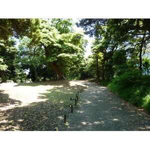 รูปถ่าย ญี่ปุ่น(Japan) โตเกียว(Tokyo) สวนฮามะริคิว(Hama rikyu Gardens) 2010-06 121