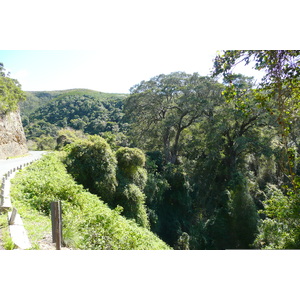 รูปถ่าย แอฟริกาใต้(South Africa) หุบเขาเนเจอร์ส(Nature's Valley) 2008-09 73