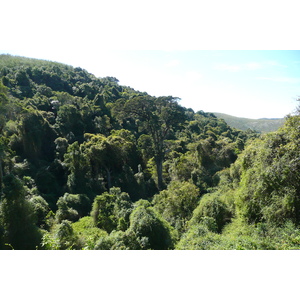 รูปถ่าย แอฟริกาใต้(South Africa) หุบเขาเนเจอร์ส(Nature's Valley) 2008-09 67