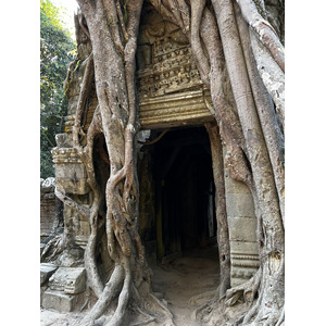 รูปถ่าย กัมพูชา(Cambodia) เสียมราฐ(Siem Reap) ปราสาทตาสม(Ta Som) 2023-01 31