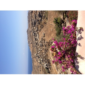 รูปถ่าย กรีก(Greece) เกาะมิโคนอส(Mykonos) 2014-07 67