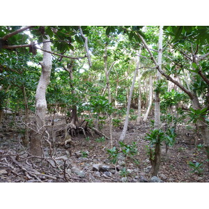 รูปถ่าย ฟิจิ(Fiji) เกาะแคสต์อะเวย์(Castaway Island) 2010-05 53