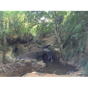 รูปถ่าย ไทย(Thailand) อุทยานแห่งชาติภูหินร่องกล้า(Phu Hin Rong Kla National Park) 2014-12 225