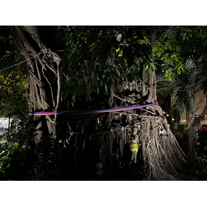 รูปถ่าย ไทย(Thailand) เกาะพีพีดอน(Ko Phi Phi Don) 2021-12 109