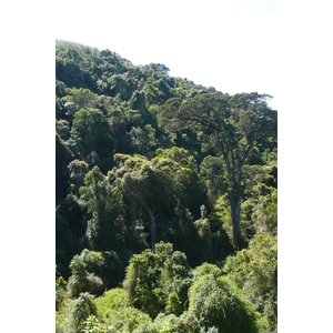 รูปถ่าย แอฟริกาใต้(South Africa) หุบเขาเนเจอร์ส(Nature's Valley) 2008-09 36