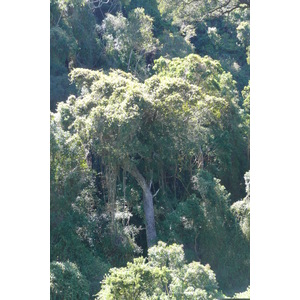 รูปถ่าย แอฟริกาใต้(South Africa) หุบเขาเนเจอร์ส(Nature's Valley) 2008-09 43