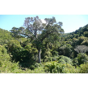 รูปถ่าย แอฟริกาใต้(South Africa) หุบเขาเนเจอร์ส(Nature's Valley) 2008-09 11