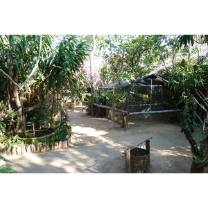 รูปถ่าย ไทย(Thailand) เชียงใหม่(Chiang Mai) ฟาร์มงูแม่สา(Mae Sa Snake Farm) 2010-12 7