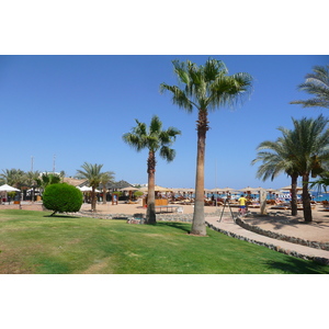 รูปถ่าย อียิปต์(Egypt) ชาร์มเอลชีค(Sharm el Sheikh) 2008-06 65