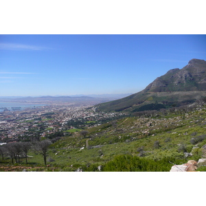 รูปถ่าย แอฟริกาใต้(South Africa) เคปทาวน์(Cape Town) ภูเขาเทเบิล(Table Mountain) 2008-09 13