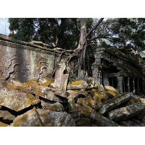 รูปถ่าย กัมพูชา(Cambodia) เสียมราฐ(Siem Reap) ปราสาทตาพรหม(Ta Prohm) 2023-01 137
