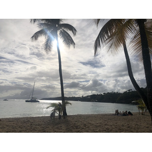 รูปถ่าย กวาเดอลูป(Guadeloupe) หาดลาการาแวล(La Caravelle Beach) 2021-02 119