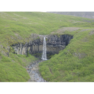 รูปถ่าย ไอซ์แลนด์(Iceland) สวาร์ติฟอส(Svartifoss) 2003-06 6