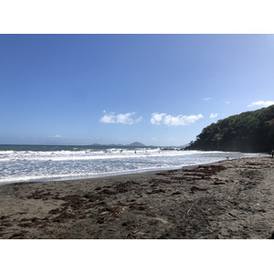 รูปถ่าย กวาเดอลูป(Guadeloupe) บานาเนีย(Bananier) 2021-02 3