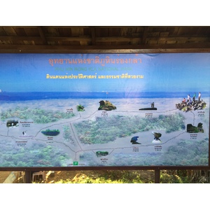 รูปถ่าย ไทย(Thailand) อุทยานแห่งชาติภูหินร่องกล้า(Phu Hin Rong Kla National Park) 2014-12 272