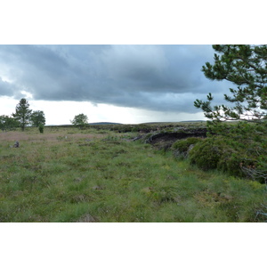 รูปถ่าย อังกฤษ(United Kingdom) อุทยานแห่งชาติแคร์นกอร์มส์(Cairngorms National Park) 2011-07 45