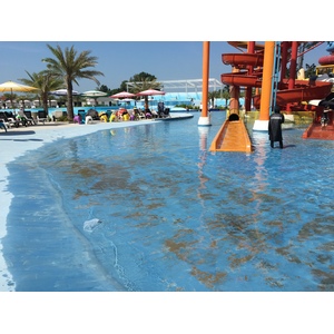 รูปถ่าย ไทย(Thailand) พัทยา(Pattaya) สวนน้ำการ์ตูนเน็ตเวิร์กอเมซอน(Cartoon Network Amazone Water Park) 2014-12 87