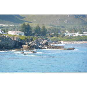 รูปถ่าย แอฟริกาใต้(South Africa) เฮอร์มานัส(Harmanus) 2008-09 21