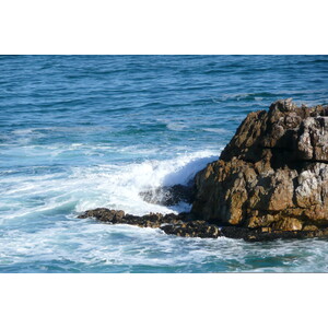 รูปถ่าย แอฟริกาใต้(South Africa) เฮอร์มานัส(Harmanus) 2008-09 30