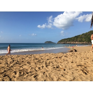 รูปถ่าย กวาเดอลูป(Guadeloupe) หาดลาแปร์ล(La Perle Beach) 2021-02 12