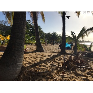 รูปถ่าย กวาเดอลูป(Guadeloupe) หาดลาแปร์ล(La Perle Beach) 2021-02 122