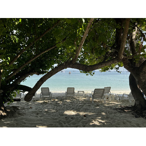 รูปถ่าย ไทย(Thailand) เกาะพีพีดอน(Ko Phi Phi Don) 2021-12 93