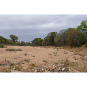 รูปถ่าย แอฟริกาใต้(South Africa) อุทยานแห่งชาติครูเกอร์(Kruger National Park) 2008-09 42