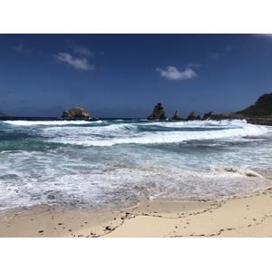 รูปถ่าย กวาเดอลูป(Guadeloupe) แหลมคาสเซิลพอยต์(Castle Point) 2021-02 252