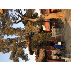รูปถ่าย จีน(China) ปักกิ่ง(Beijing) พระราชวังต้องห้าม(Forbidden City) 2015-12 200