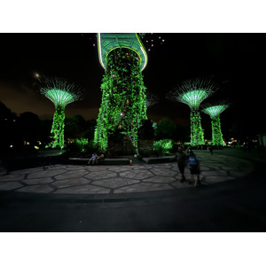 รูปถ่าย สิงคโปร์(Singapore) การ์เดนส์บายเดอะเบย์(Garden by the bay) 2023-01 52