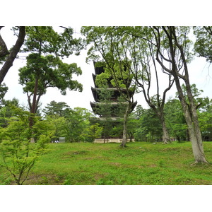 รูปถ่าย ญี่ปุ่น(Japan) เกียวโต(Kyoto) วัดนินนะจิ(Ninna ji Temple) 2010-06 17