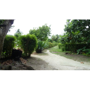 รูปถ่าย เซเชลส์(Seychelles) เกาะลาดีก(La Digue) 2011-10 16