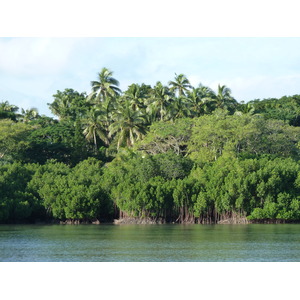 รูปถ่าย ฟิจิ(Fiji) ถนนจากนาดีไปซิงกาโตกา(Nadi to Sigatoka road) 2010-05 32