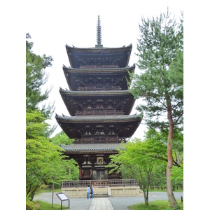 รูปถ่าย ญี่ปุ่น(Japan) เกียวโต(Kyoto) วัดนินนะจิ(Ninna ji Temple) 2010-06 43