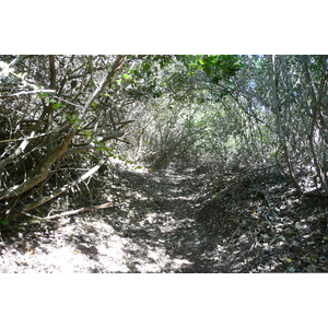 รูปถ่าย แอฟริกาใต้(South Africa) หุบเขาเนเจอร์ส(Nature's Valley) 2008-09 15
