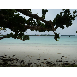 รูปถ่าย นิวแคลิโดเนีย(New Caledonia) เกาะต้นสน(Ile des pins) หาดคูโต(Kuto Beach) 2010-05 1